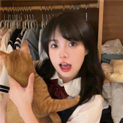 机械陪伴